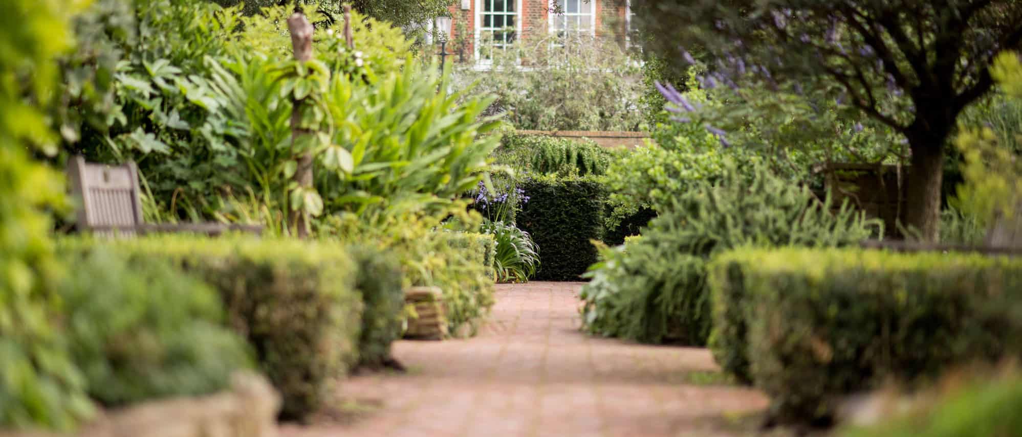 Garden path and planting at Chelsea Physic Garden in London