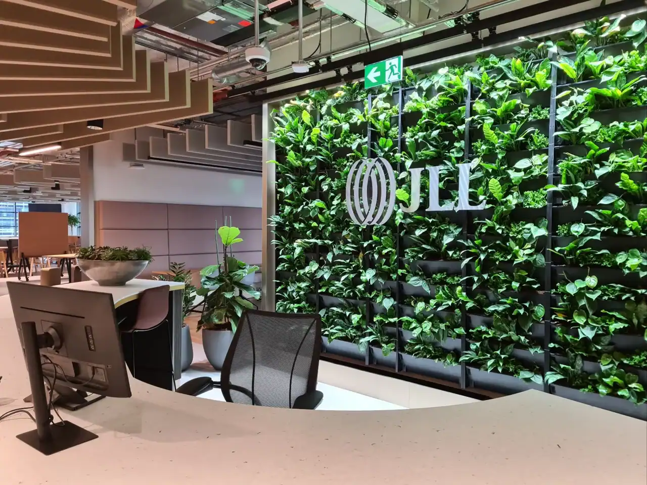 Reception and living wall at JLL's 20 Water Street office, Canary Wharf, the site of ACCL's structured cabling installation