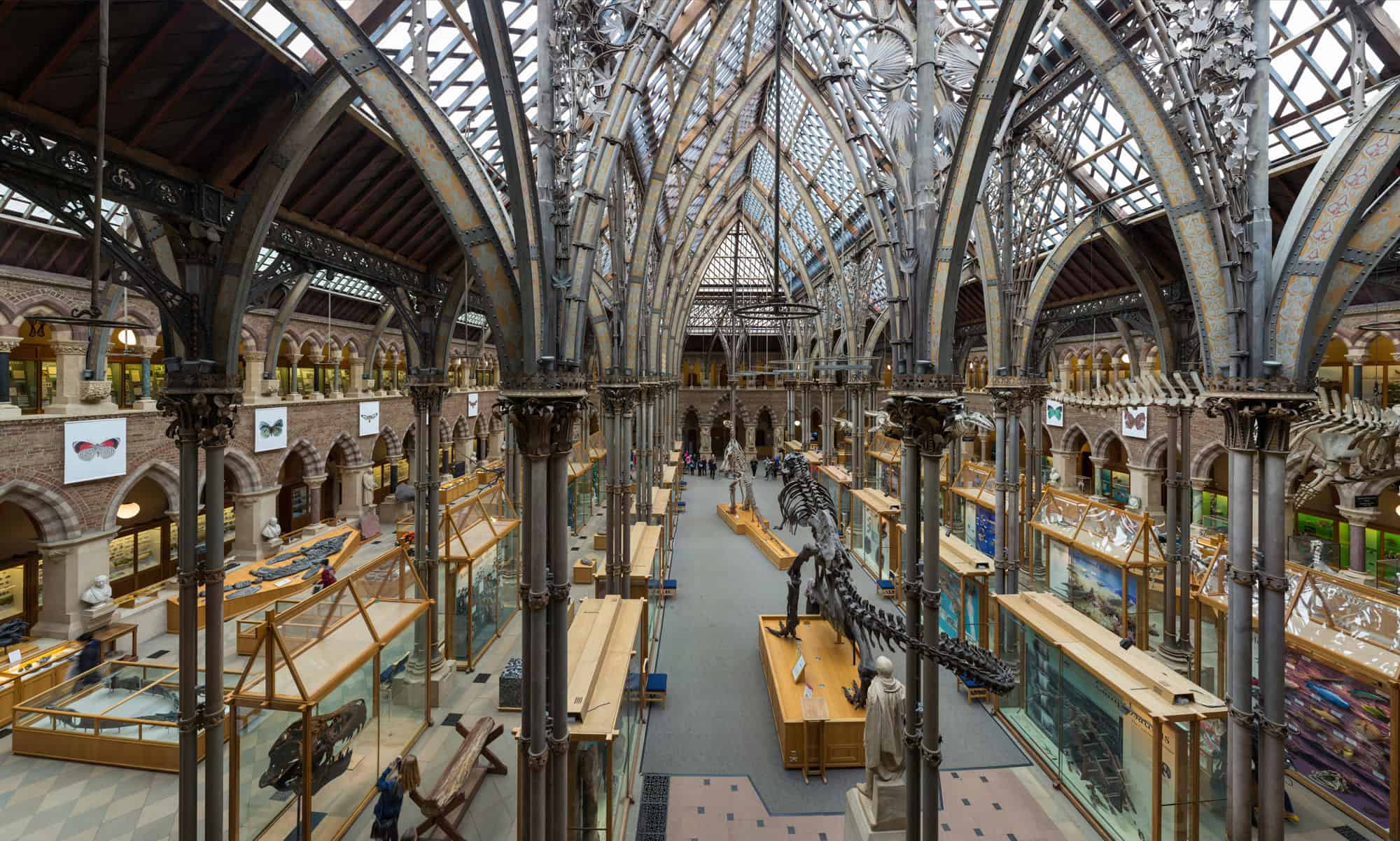 Interior gallery of the Oxford University Museum of Natural History, connected to the Pitt Rivers Museum collection